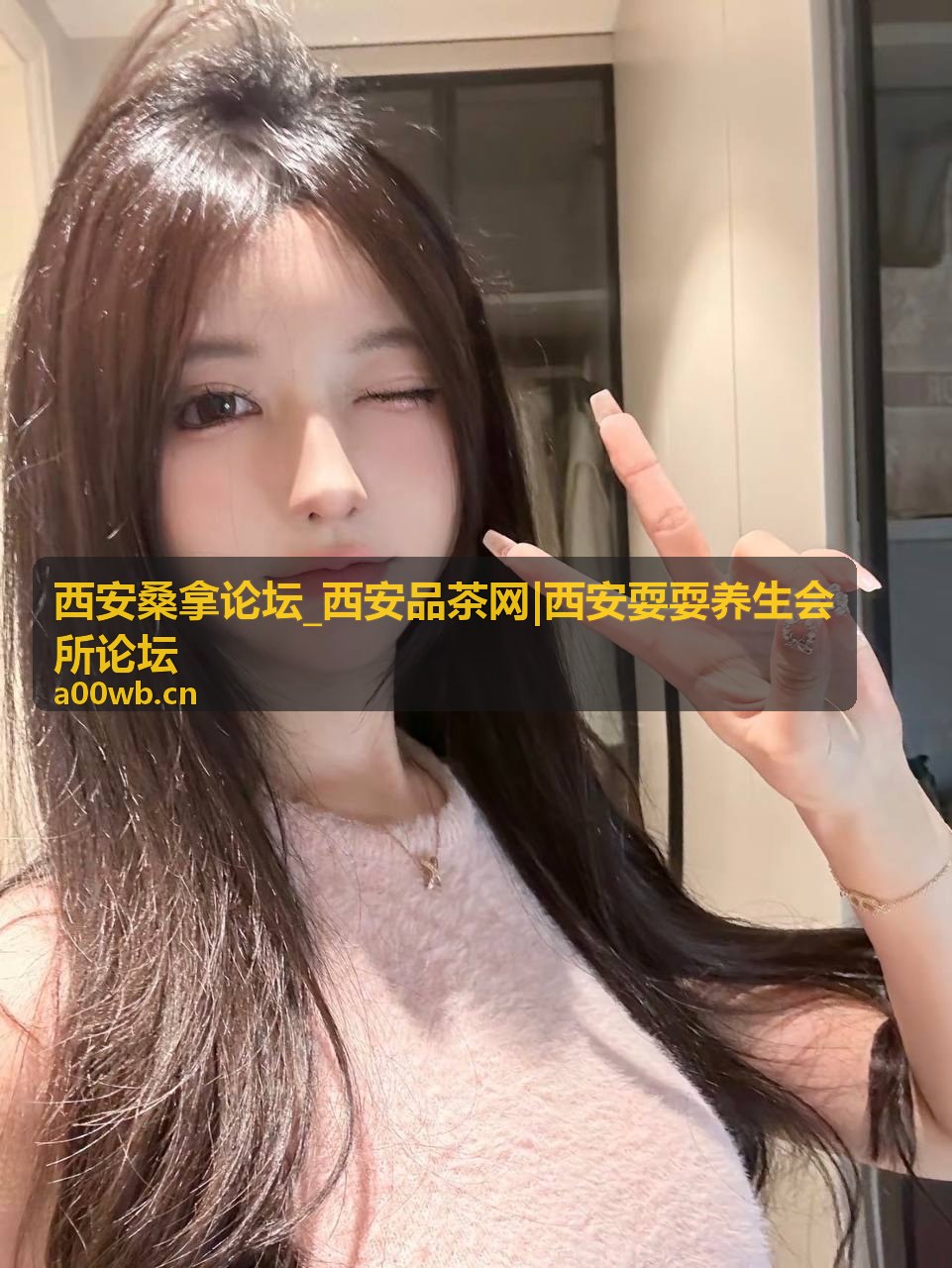 西安品茶网宣传物料示意图，展示茶舍品茶场景